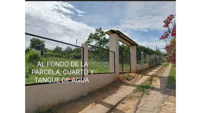 https://www.clasificadosvanguardia.com/images/classified/17378890955828_large.jpg